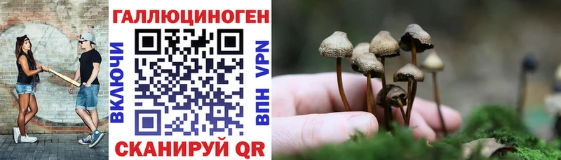 как найти закладки  Чаплыгин  blacksprut онион  Псилоцибиновые грибы GOLDEN TEACHER 
